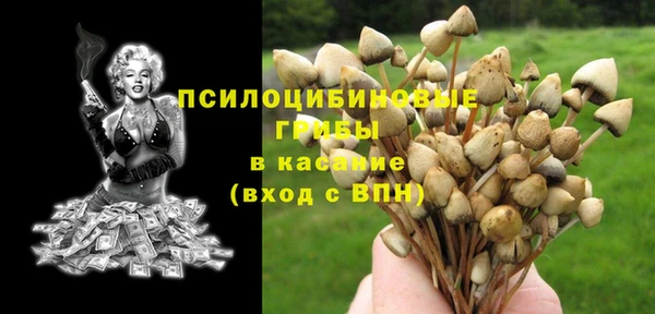 мяу мяу кристалл Бородино